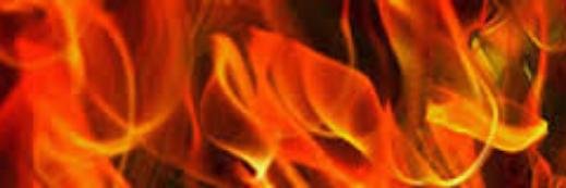 Dracs, Diables i Gegants de La Sagrera banner