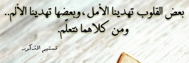 xxss202's profile banner image