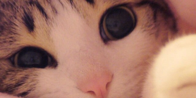 gghinaaa's profile banner image