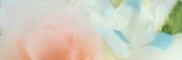 2n2n_zin's profile banner image