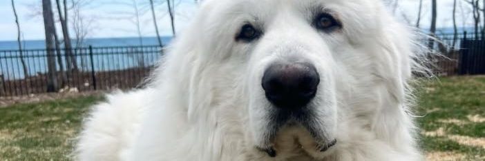 sergiods69's profile banner image