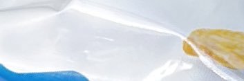scamlikely9089's profile banner image