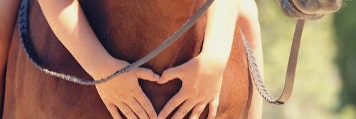 SHJG__'s profile banner image
