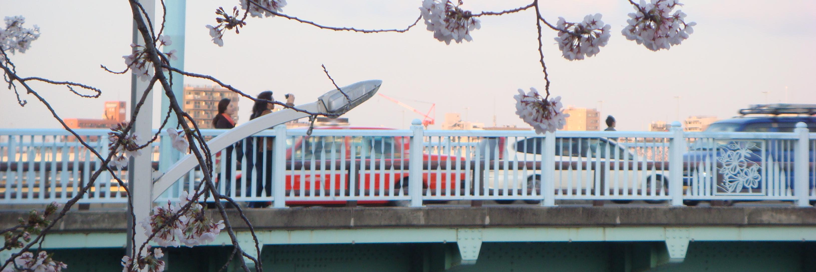 nakaurayou's profile banner image