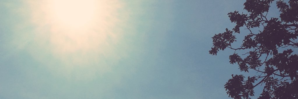 farah_tweets's profile banner image