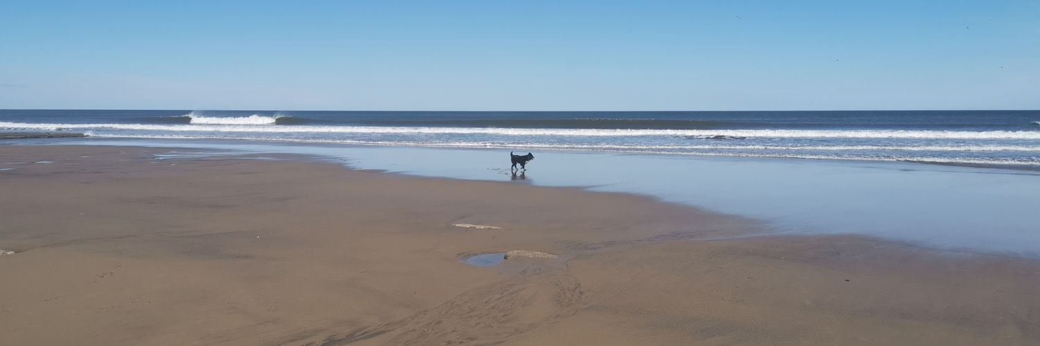 ste1984r's profile banner image