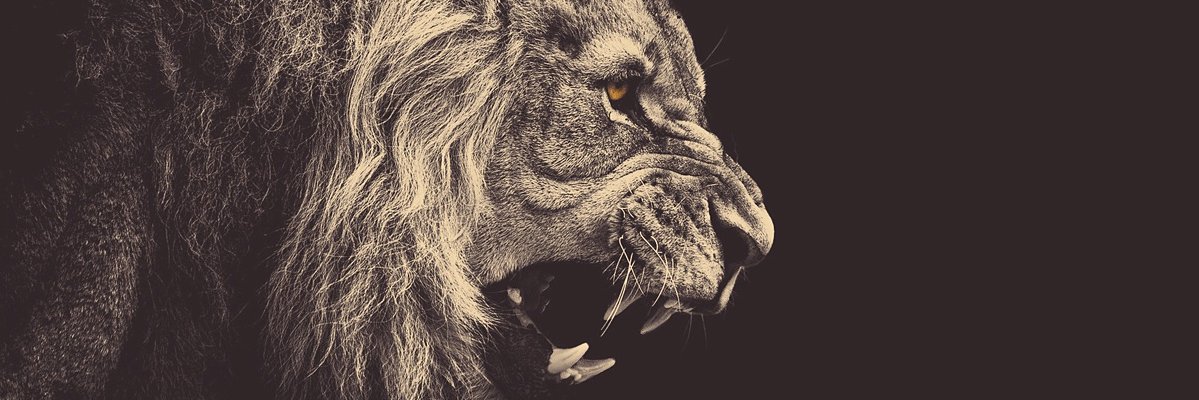 ㅤㅤㅤㅤㅤㅤㅤㅤ banner