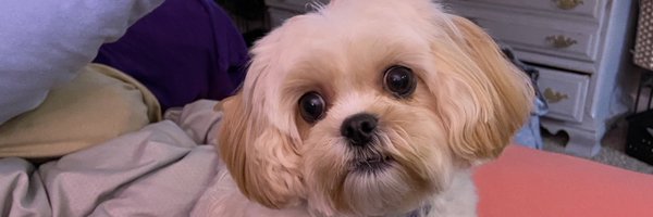 kclightfoot Profile Banner