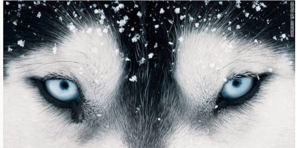 HunterHussBand's profile banner image