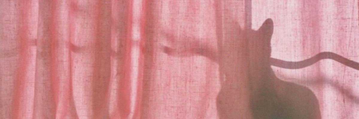houseofdanis's profile banner image