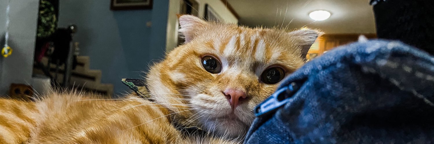 pondpoud's profile banner image
