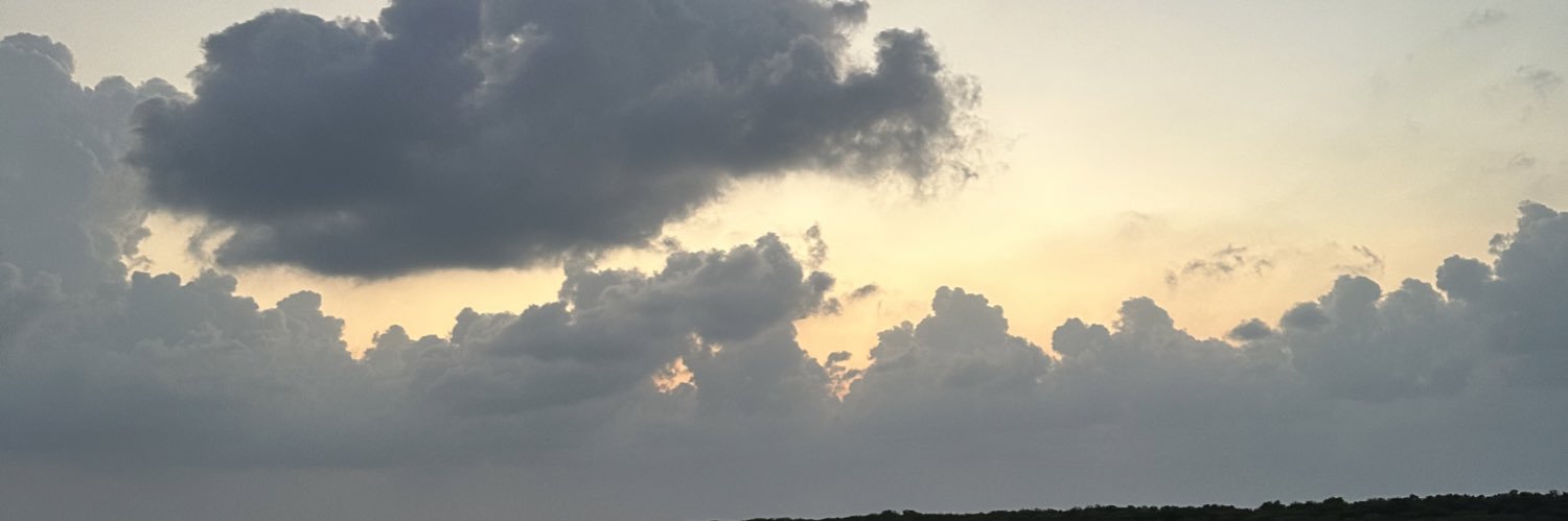 Amaaali_'s profile banner image