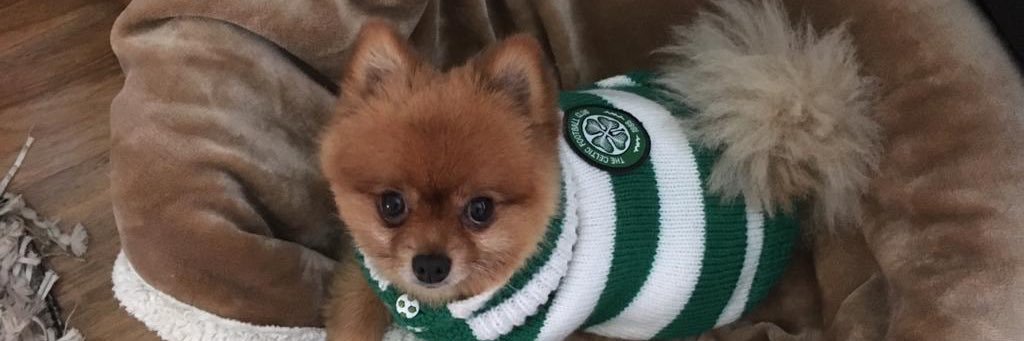 TonyGreen67's profile banner image