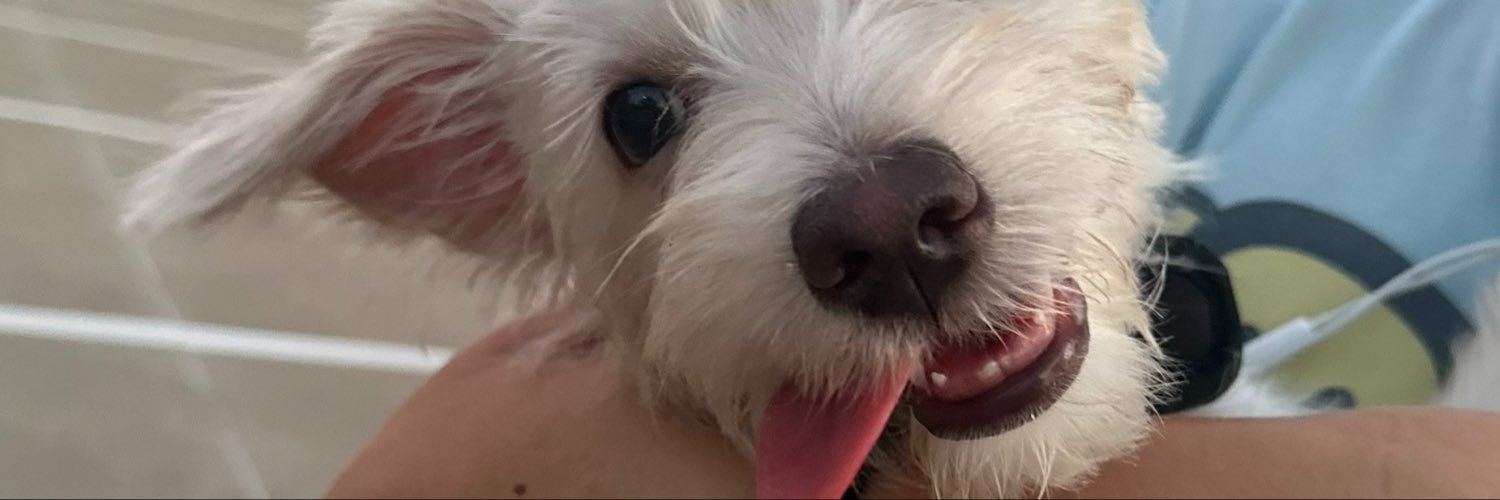 celynjox's profile banner image