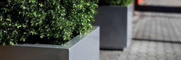 iapsf Profile Banner