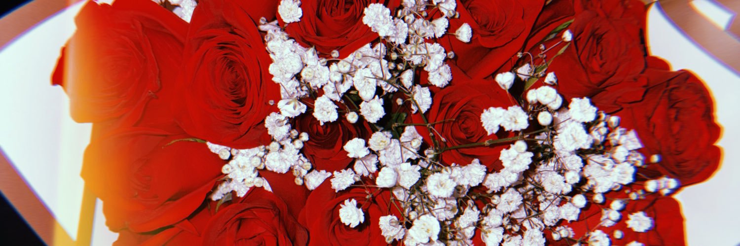 PTzaria's profile banner image