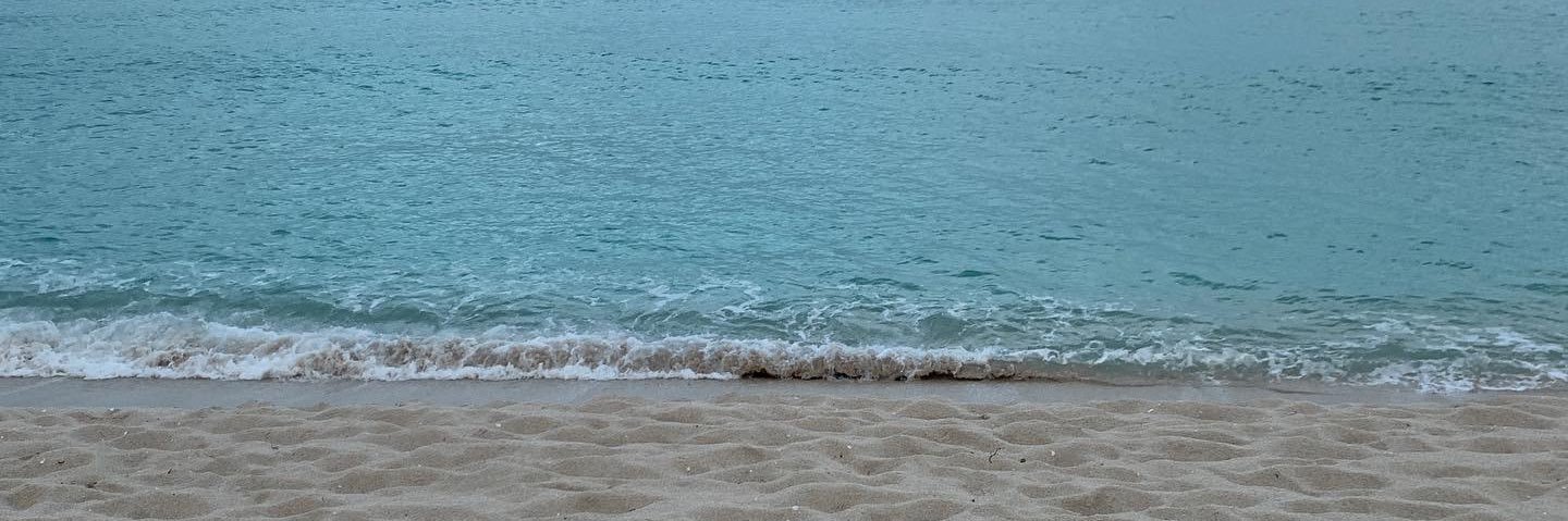 stephanierpalka's profile banner image