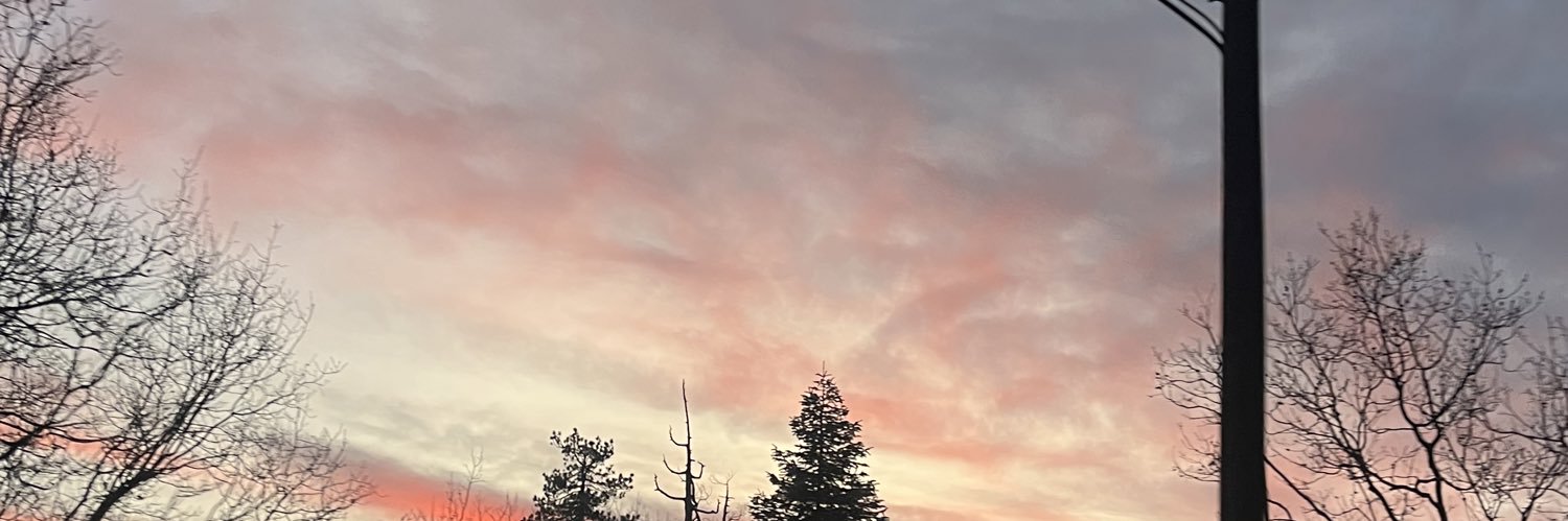 maddisonirene's profile banner image