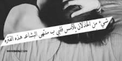 Looly banner