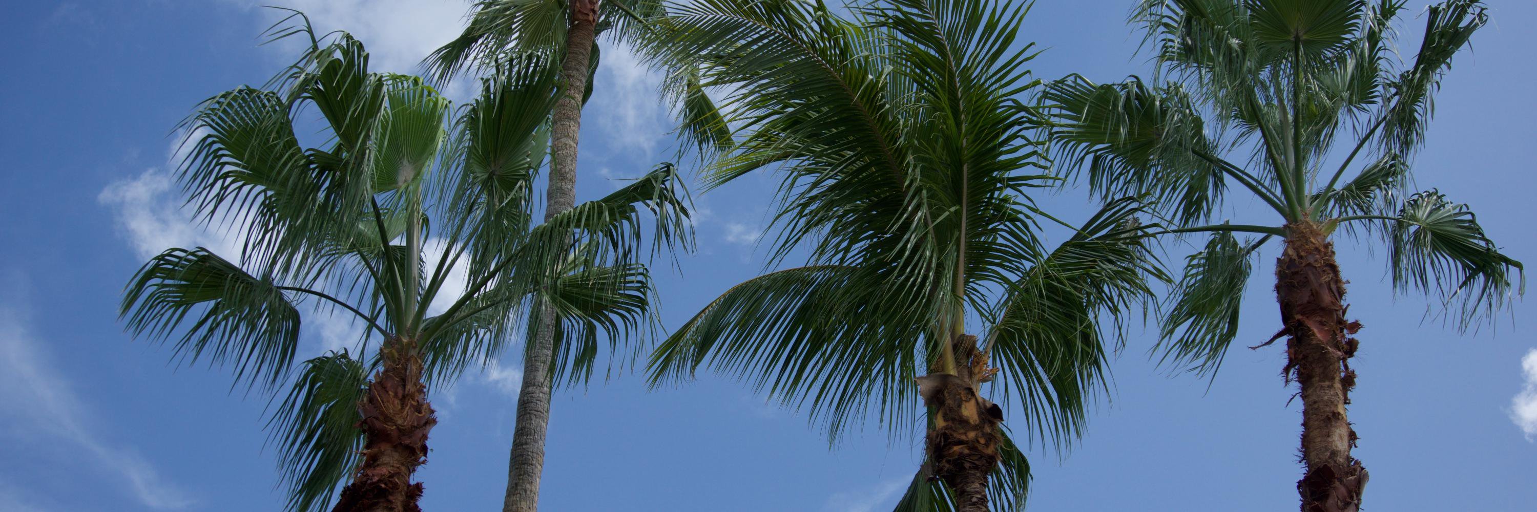 bill__schroeder's profile banner image