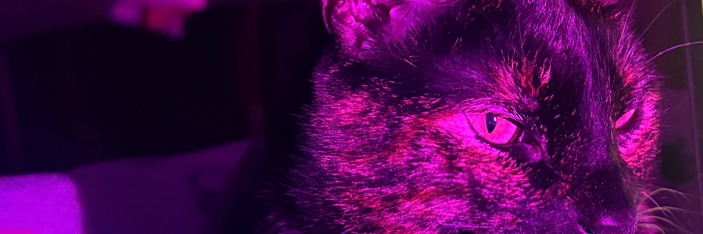 innkxii's profile banner image