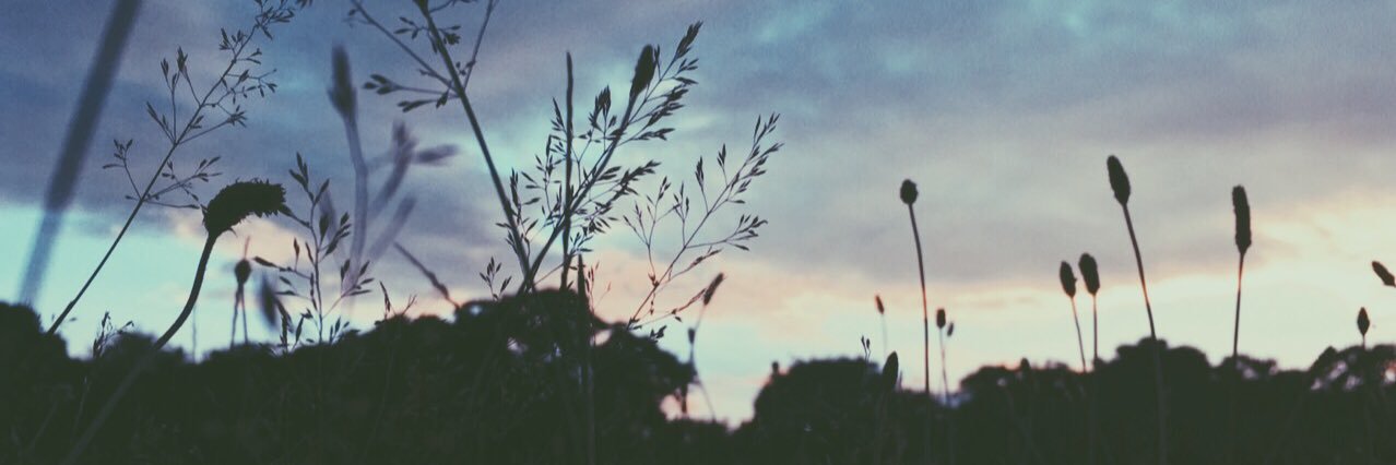 SamwellWilhelm's profile banner image