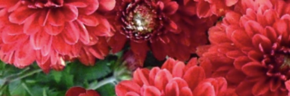 Aboohaeif's profile banner image
