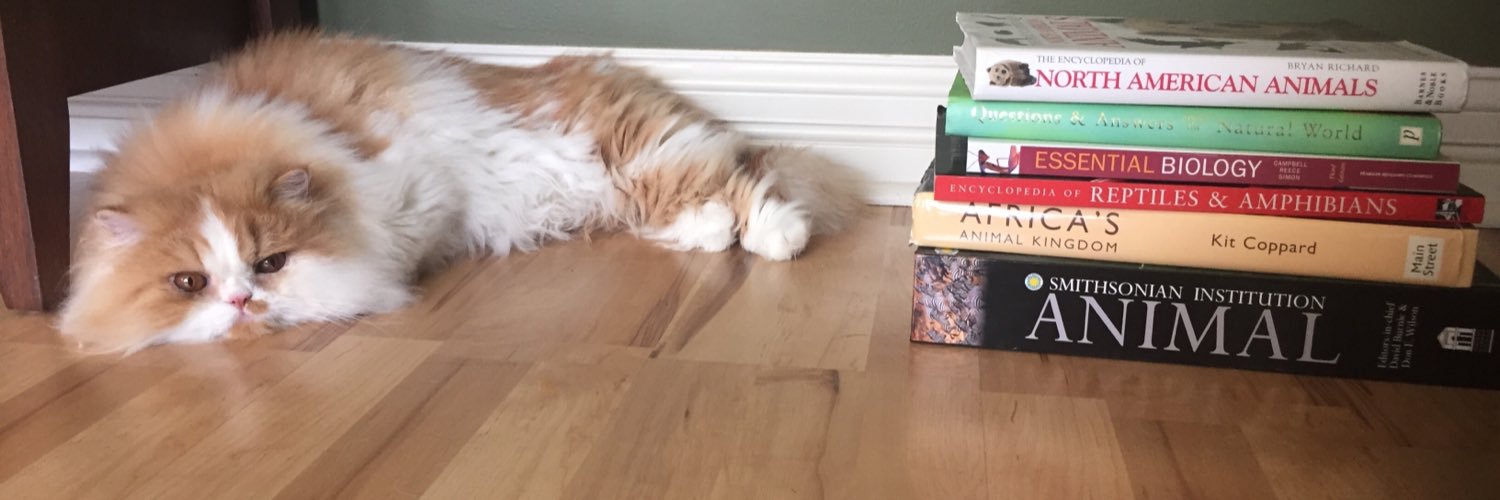 FactualAnimal's profile banner image