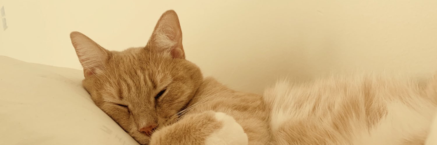 annabagss's profile banner image