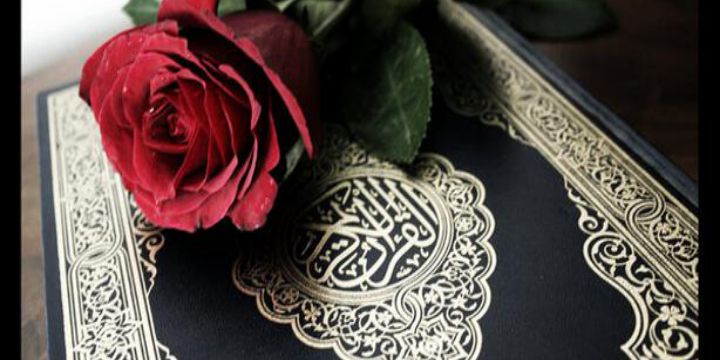 Fatima96K's profile banner image