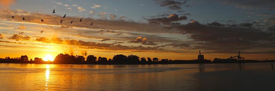 Lost Coast Outpost banner