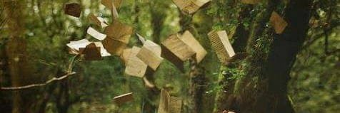 wer19's profile banner image