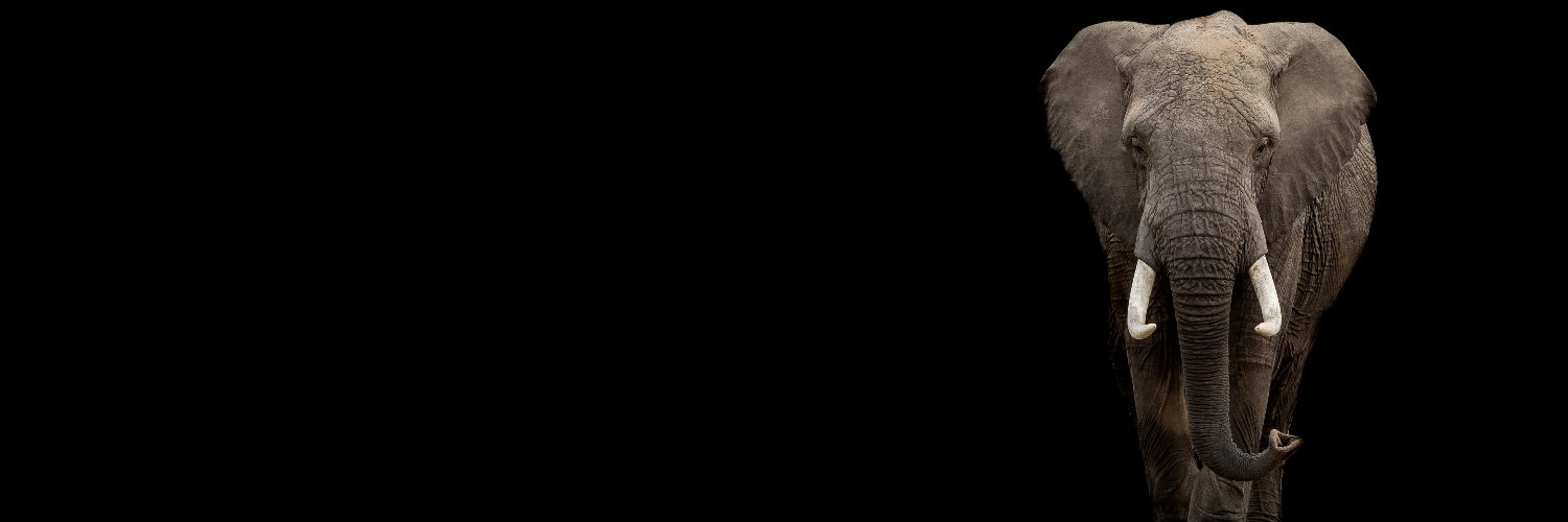 CS_Texas's profile banner image