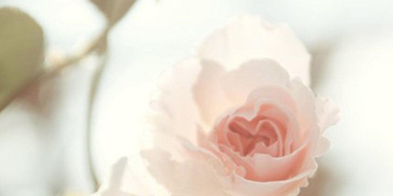 ayaakid's profile banner image