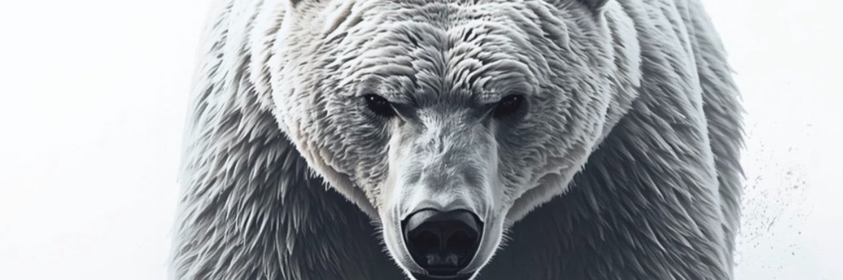 CoachAaronCook's profile banner image