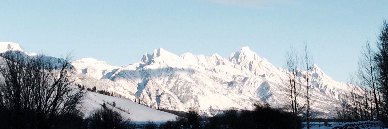 David S. Cohen banner