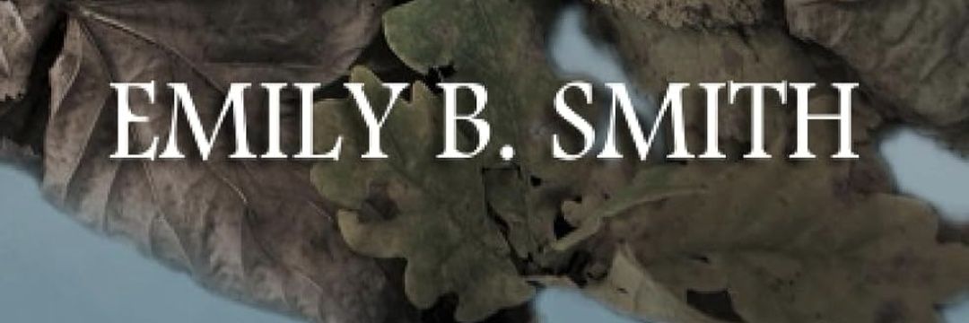 lionsandarmor's profile banner image