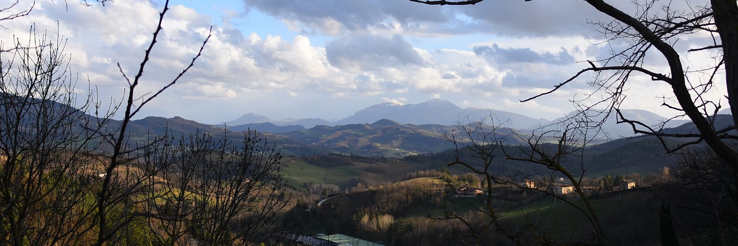 Malcolm Burrows banner