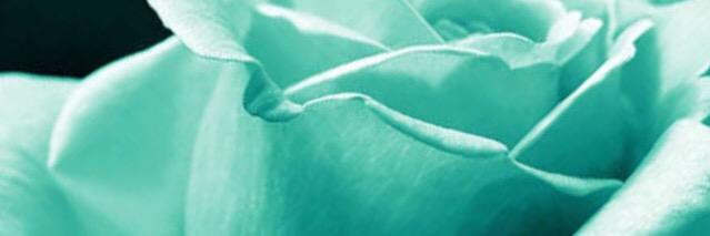 NiallFeelsHello's profile banner image