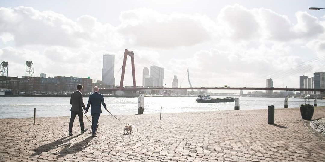 JohanVerveer's profile banner image
