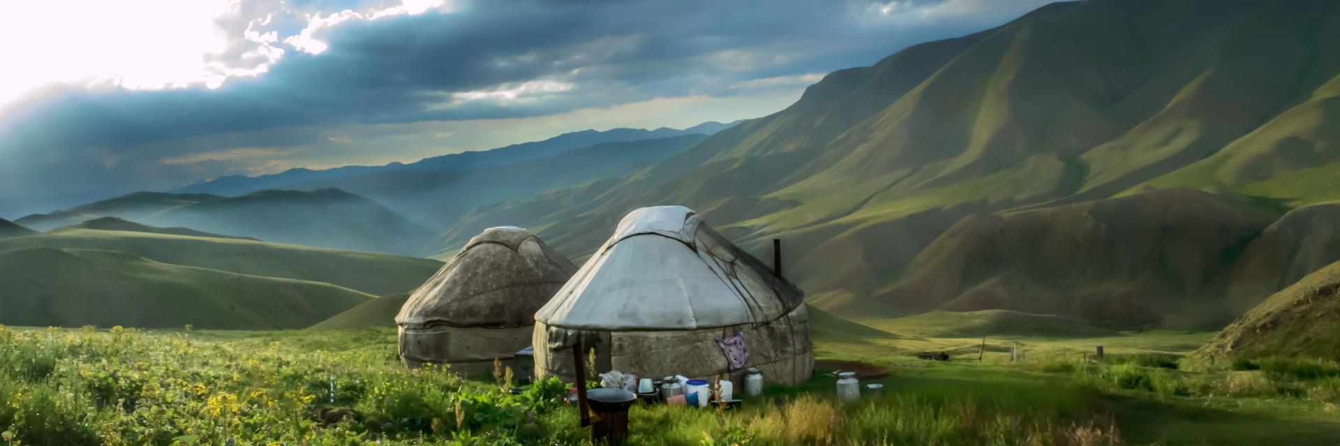 tigraxaud's profile banner image
