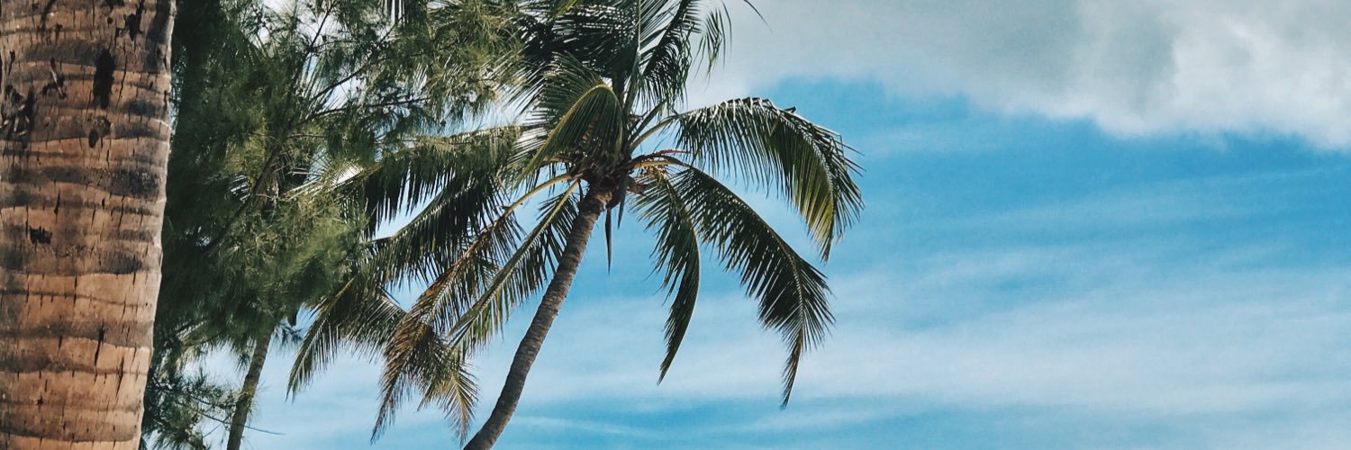 kt_marz's profile banner image