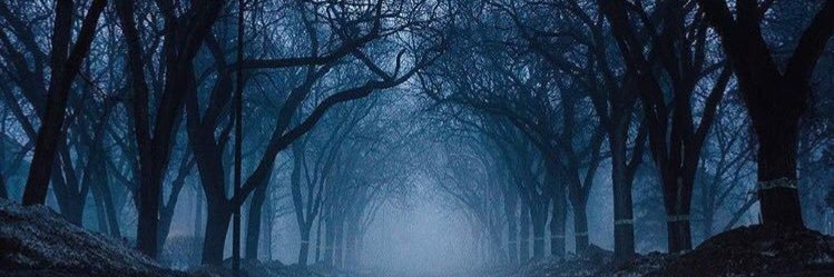 lannie_ramirez1's profile banner image