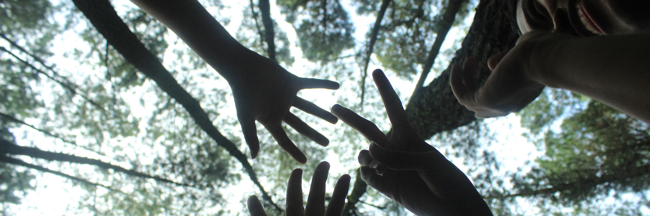mutiaraTT's profile banner image