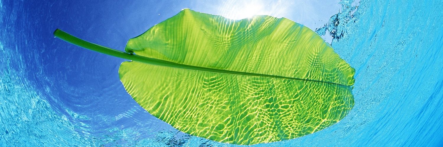 NickR_IT's profile banner image