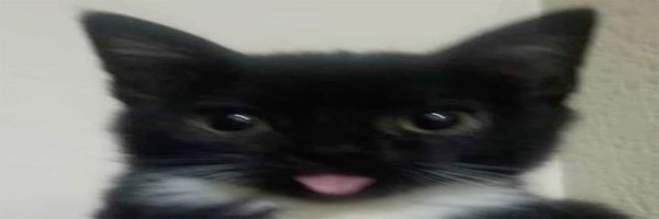 MythyMoo Profile Banner