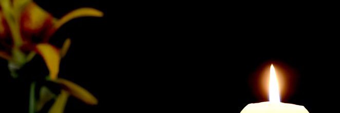 luzmyln's profile banner image
