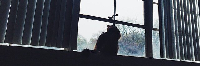 jaimelin's profile banner image