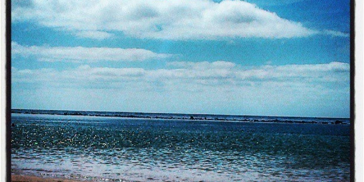 martaramost's profile banner image