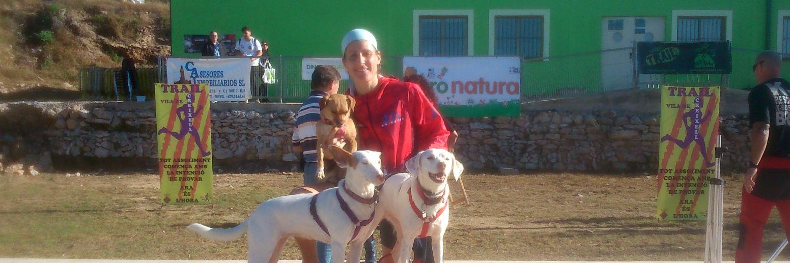 Anna García Cuartero banner
